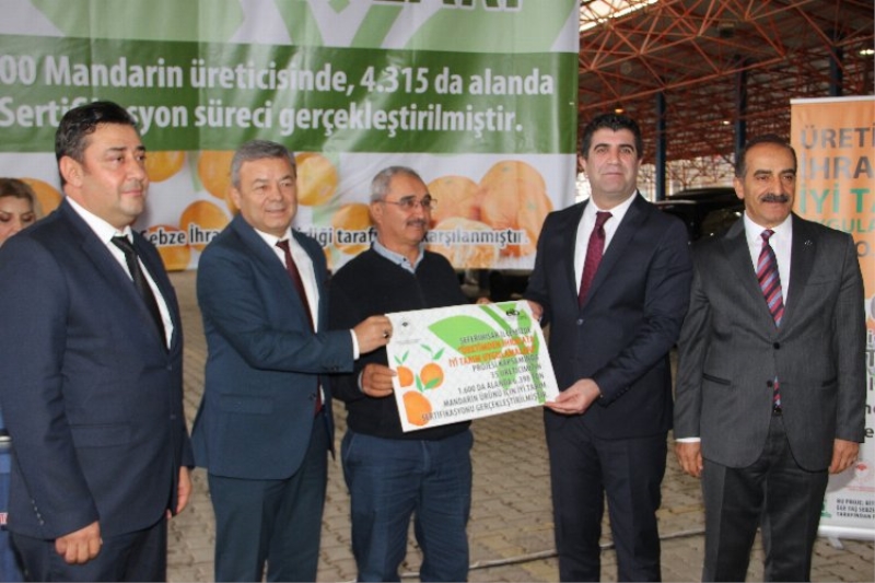 İzmir’de mandalina üreticileri 