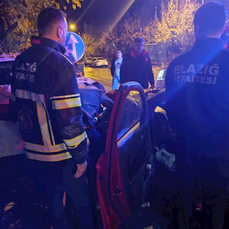 Elazığda trafik kazası: 2 yaralı
