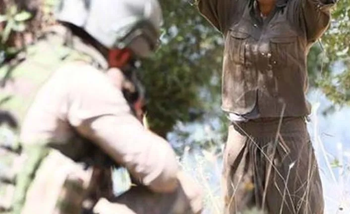Terör örgütü PKK