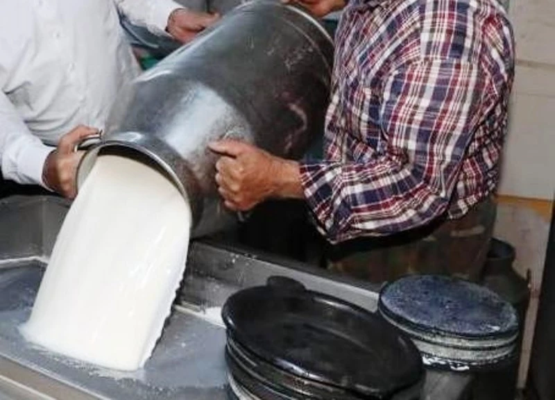 Ticari süt işletmelerince 835 bin 773 ton inek sütü toplandı
