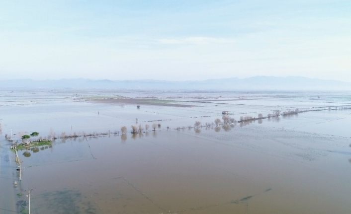 Aydın’da 100 bin dönüm tarım arazisi sular altında