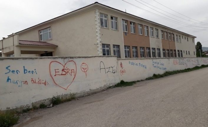 Van'da okul çevre duvarları çirkin yazılarla kirletiliyor
