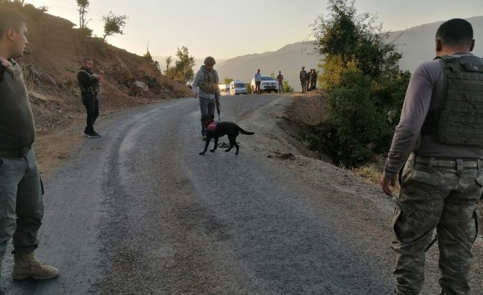 Bitlis’te PKK’nın yola döşediği EYP imha edildi