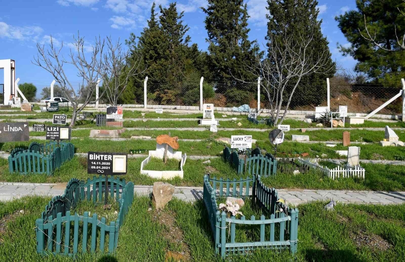 Kuşadası hayvan mezarlığına 3 yılda 335 hayvan gömüldü
