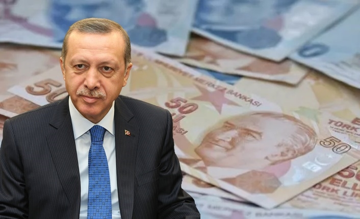 Erdoğan, Meclis