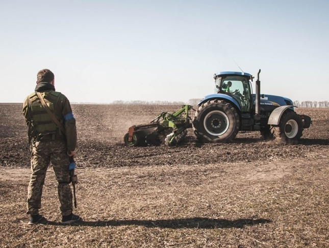 Tahıl krizinin çözümü neden mi önemli? Ukrayna
