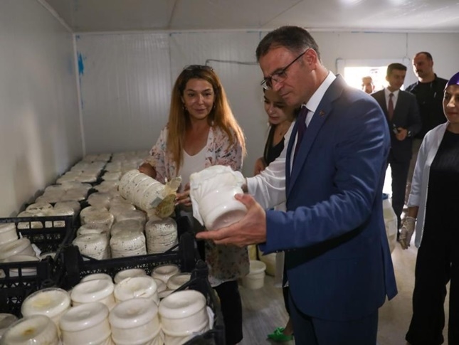 Van Valisi Ozan Balcı, esnaf ziyaretinde otlu peynir mayaladı