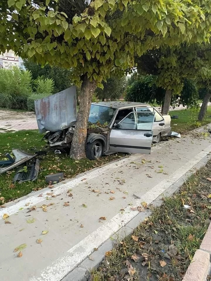 Elazığ’da otomobil ağaca çarptı: 1 yaralı
