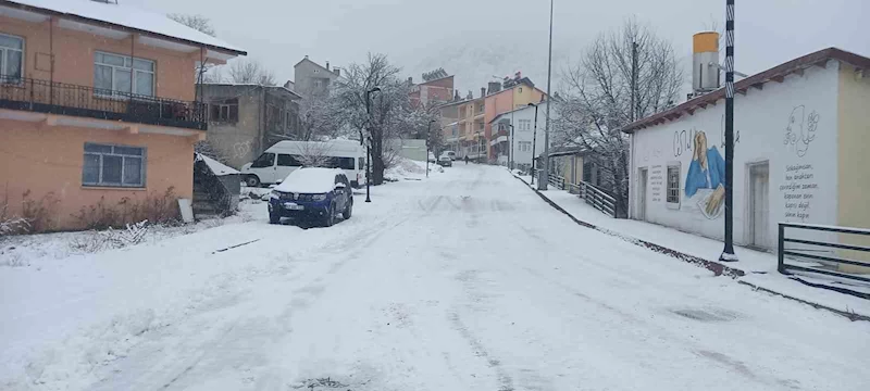 Tunceli’de kar yağışı etkili oldu, onlarca köy yolu ulaşıma kapandı

