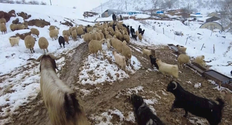 Erzincan’ın köylerinde kış mesaisi başladı
