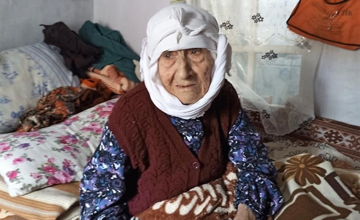 119 yıllık çınar Medine Akkan hayatını kaybetti