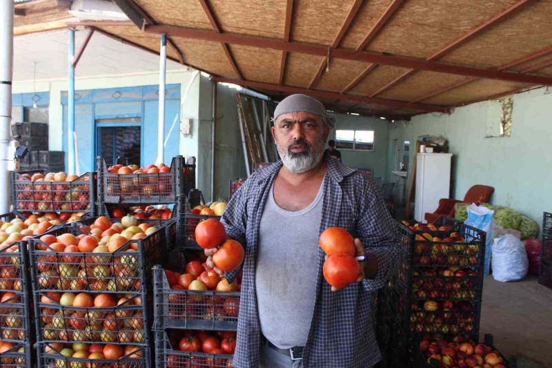 Iğdır’da yetiştirilen sebze ve meyveler il dışına satılıyor

