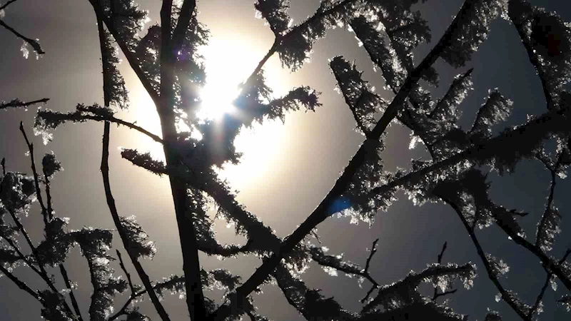 Ardahan’da soğuk hava: Damal ilçesi eksi 2,7 dereceyi gördü
