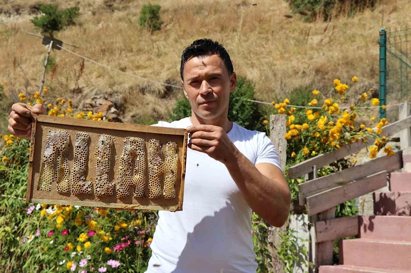 Arılara yazmayı öğreten adam
