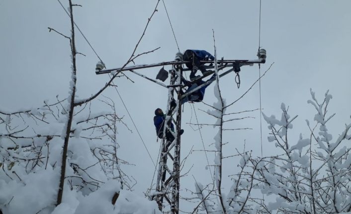 Köylüler elektriksiz kalmasın diye zorlu kış şartlarında direklere tırmandılar