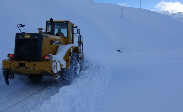 Van’da 132 yerleşim yerinde karla mücadele
