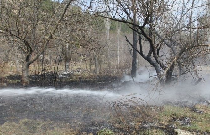 Tarla temizliğinde ateş yakmak orman yangınlarına neden oluyor