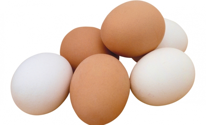 Tavuk yumurtası üretimi Şubat’ta azaldı