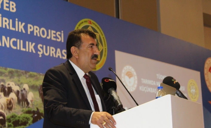 TÜDKİYEB Başkanı Çelik: "Bayramda tanzim merkezler kurulmalı"
