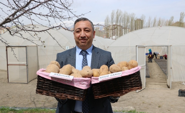 Türkiye’ye 2 milli patates çeşidi daha tescillendi