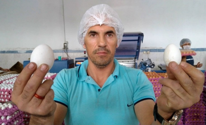 Yumurta üreticilerinin gözü Irak pazarında