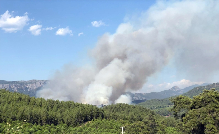 350 hektar alanda etkili olan yangın kontrol altına alınamıyor