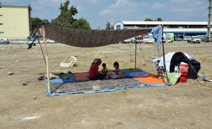 Evsiz kalan kadının 6 çocuğuyla boş arsada yaşam savaşı