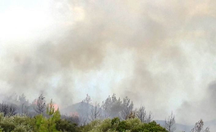 Muğla’daki ikinci yangın evlere ulaşamadan söndürüldü