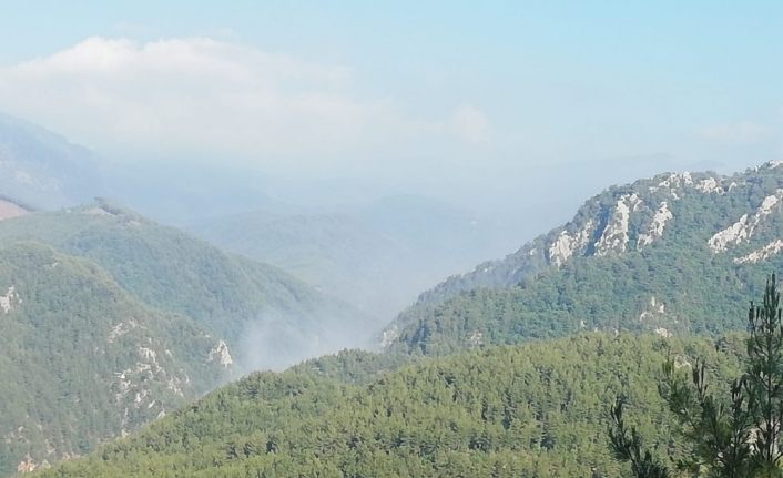 Osmaniye’de Amanos Dağları’nda orman yangını