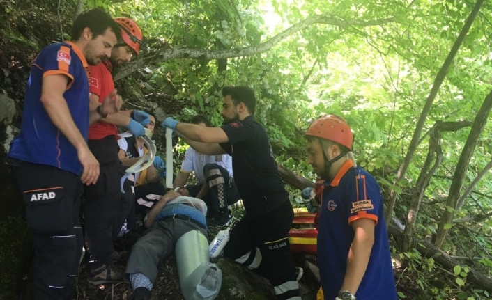 Uludağ’da ıhlamur toplarken ağaçtan düştü, yardımına kurtarma ekipleri koştu