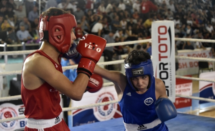 Üst Minikler Türkiye Ferdi Boks Şampiyonası Gümüşhane’de başladı