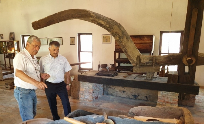 Zeytinin Anadolu topraklarındaki yolculuğu ve geçmişi bu müzede anlatılıyor
