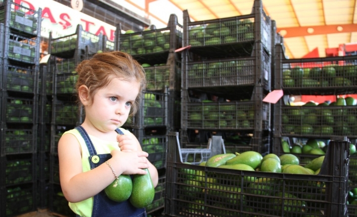 Alanya’dan Ukrayna’ya 3.5 ton avokado ihracatı