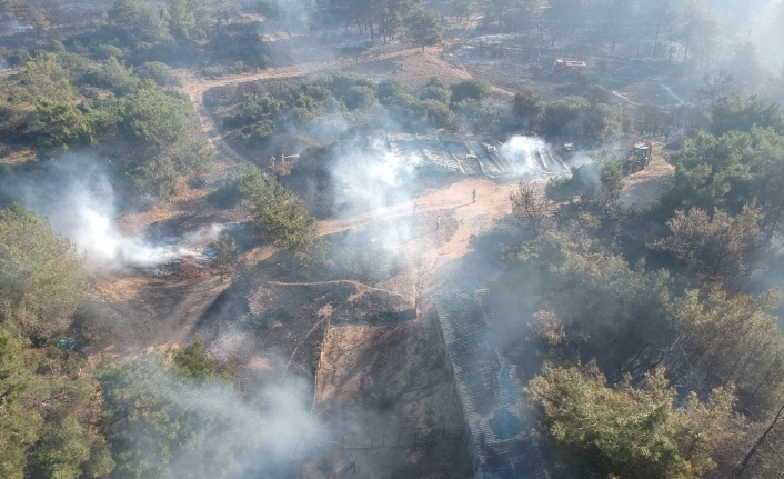 Çanakkale’deki korkutan yangın kontrol altına alındı