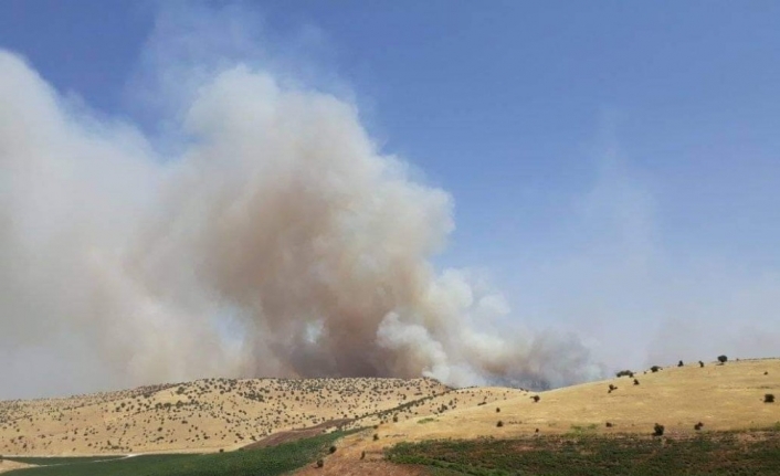 Diyarbakır’da ağaçlık alanda yangın