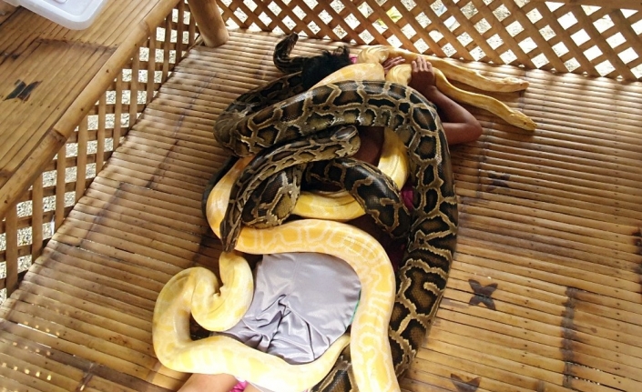 Filipinler’de turistlere yılan masajı