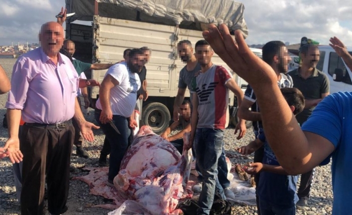 Göztepe’de kaçak kurban kesimi yapanlara zabıta müdahalesi