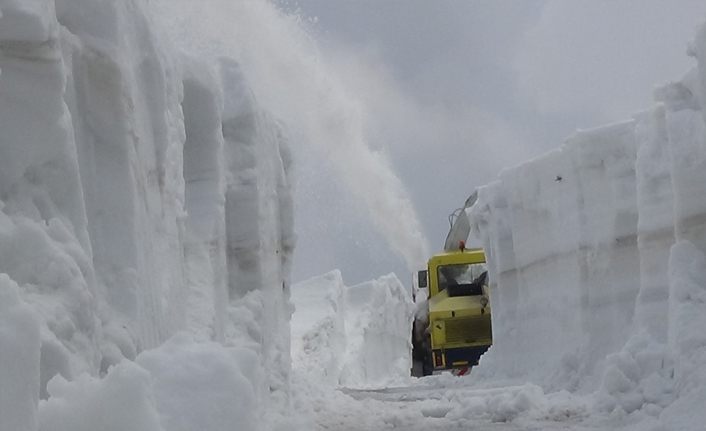 Muş'ta iş makinelerinin açtığı karla kaplı yollar tünelleri andırıyor