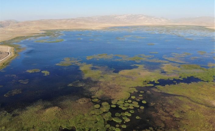 Turna Gölü, kesin korunan alanlar kapsamına alındı | Van haber