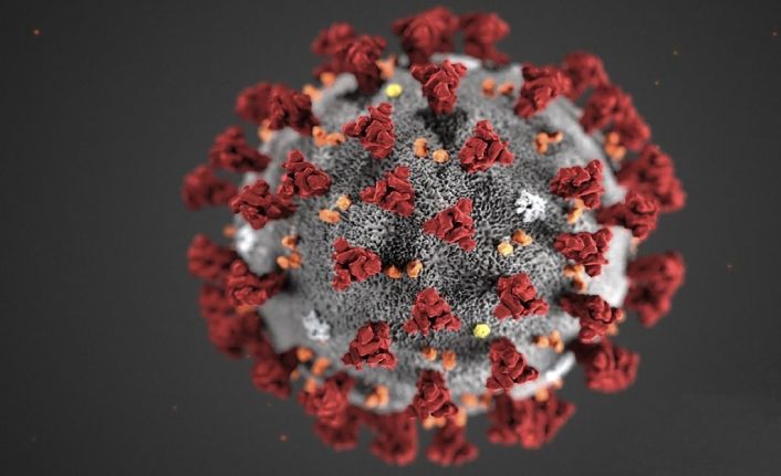 Koronavirüs salgını canlı harita