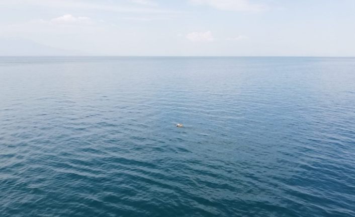 Van Gölü’nde batan teknede ölü sayısı 10’a yükseldi