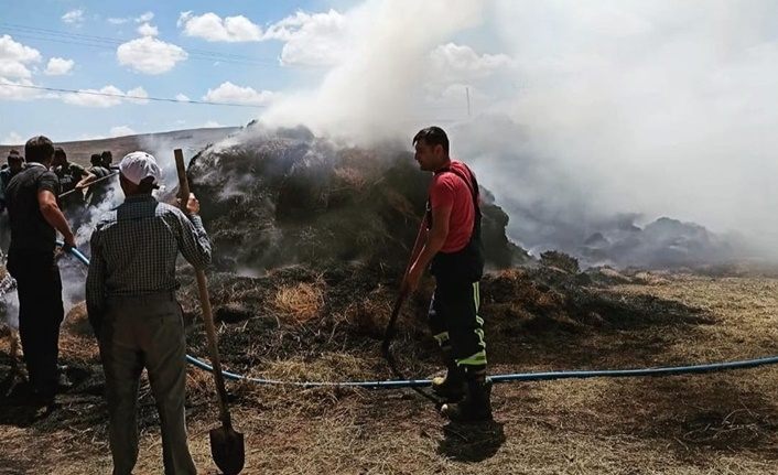 Özalp'ta yangın! 2 bin bağ ot yandı