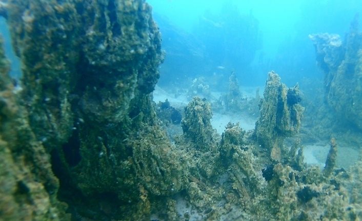 800 bin yıllık Van Gölü'nden kalıntılar çıkarılıyor