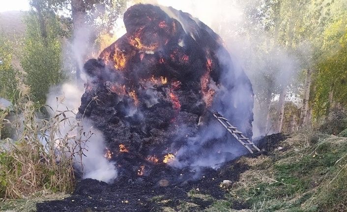 Yüksekova'da 6 bin 500 bağ ot yandı