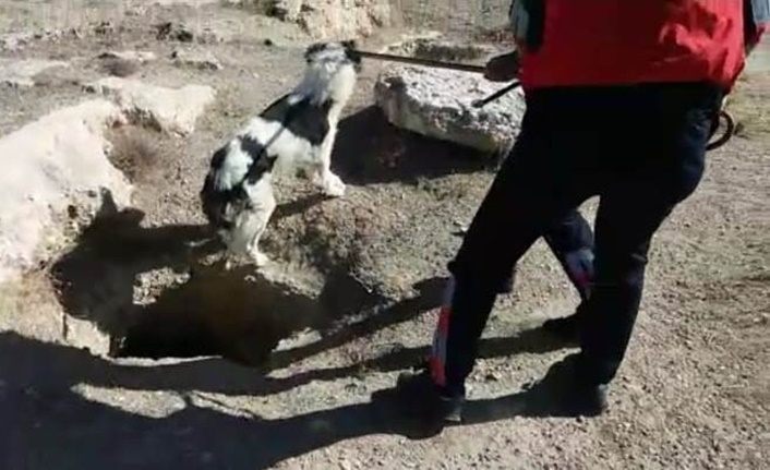 Van'da 2 metrelik kuyuya düşen köpek kurtarıldı