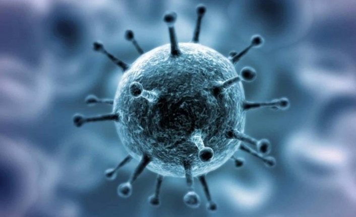 Bu 5 gene dikkat! Koronavirüsle bağlantısı ortaya çıktı