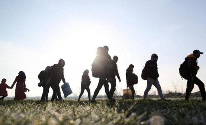 Bitlis'te 8 düzensiz göçmen yakalandı