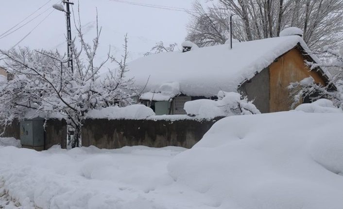 Bitlis'te tek katlı evler karda kayboldu