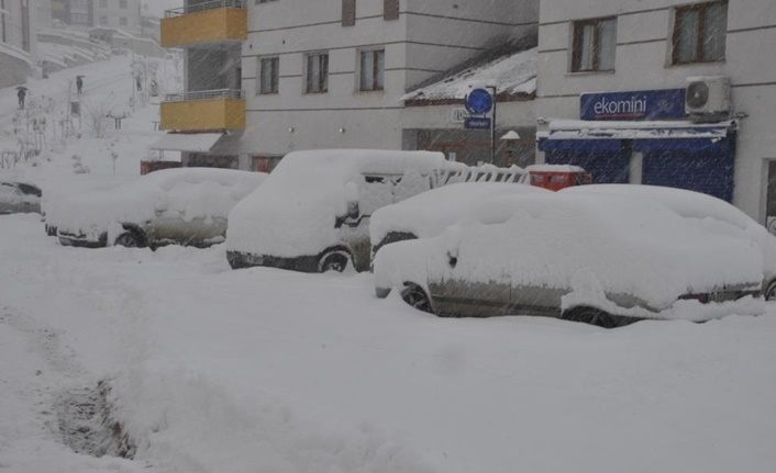 Hakkari, Muş ve Bitlis'ten kar manzaraları