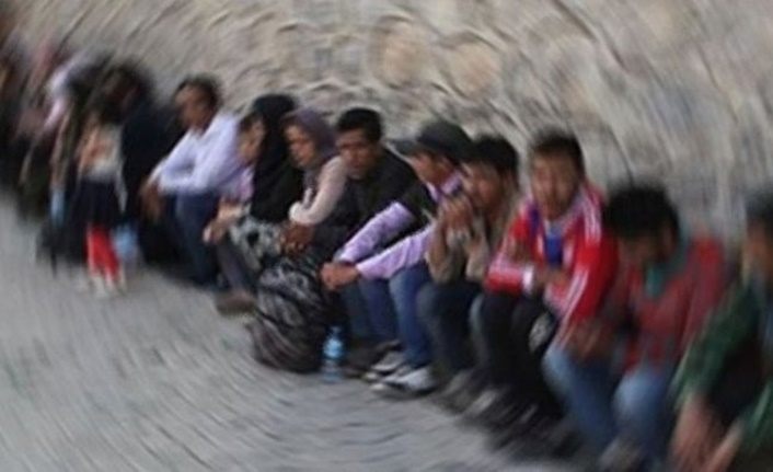 Bitlis'te yurda yasadışı yollardan girerken yakalandılar